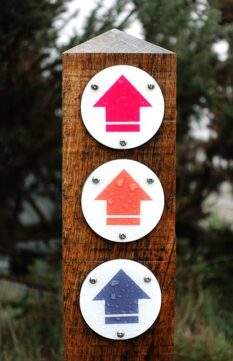 waymark, arrow, way, mark, marker, sign, direction, up, three, triple, navigation, symbol, icon, pointer, walk, trail, hike, hiking, point, gps, position, nature, pictogram, destination, pink, orange, blue, route, guide, upward, north